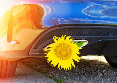 SPRING CAR SERVICE PACKAGE