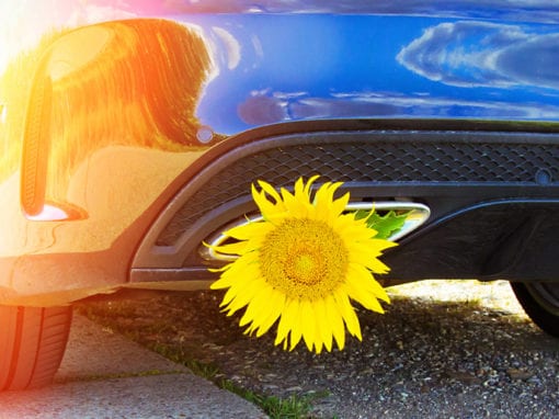 SPRING CAR SERVICE PACKAGE