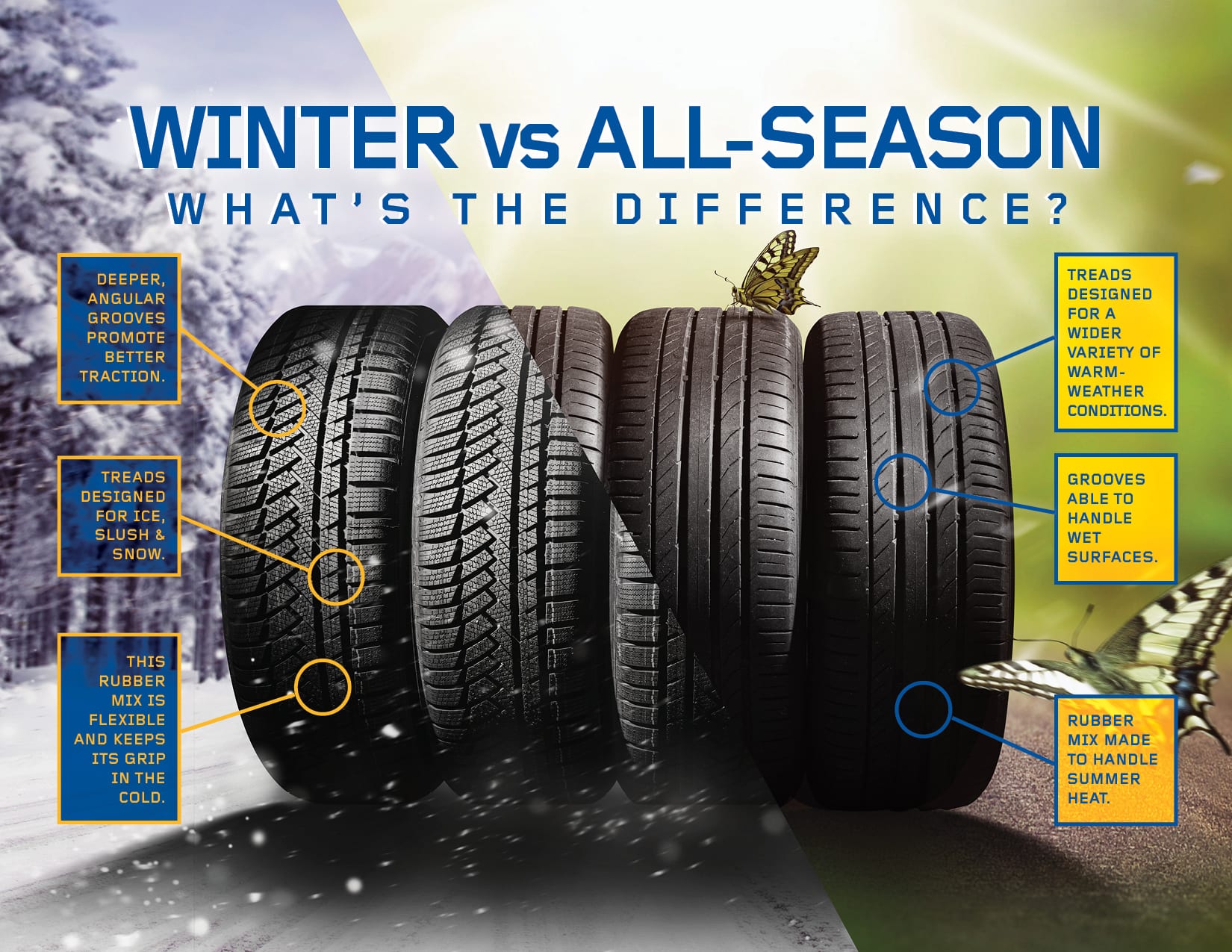 Winter vs All season 1